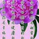 顺其自然