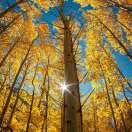 刘浪