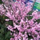 我的未来不是梦