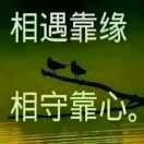 会来