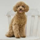 一笑倾城,只为你醉