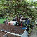 你是蓝天%我是白云^O^