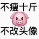 你是我的眼