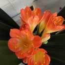 人在旅途（好物在橱窗）