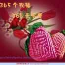 生无悔