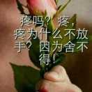 玻璃心