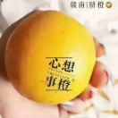 井冈之南特产甄选