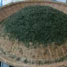 认识我是你一生的荣誉