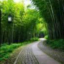 相逢何必曾相识