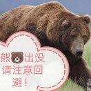 笨熊🐻