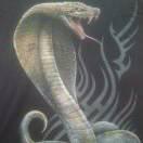 人的命天注定！！