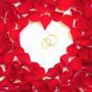 时间淡💋然一笑