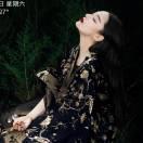 平平淡淡才是福