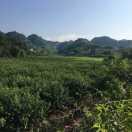 随遇而安（请勿连赞。谢谢丿