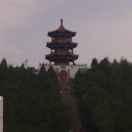 玫瑰雨