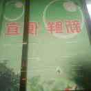 偏偏喜欢你