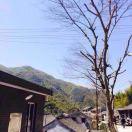 遥遥领先