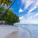 🚞老小孩儿⁵²¹