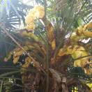 乐天缘《还是家乡好》