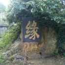 七零后的胖大叔