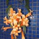 *^O^*  幸福小窝   *^_^*