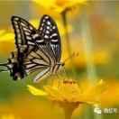 越～视频同款在橱窗