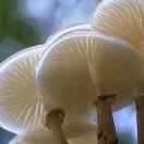 快乐人生，领艺装饰。