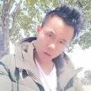 世人贪婪总想寻找两全