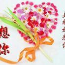 冬天里的雪绒花