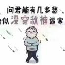 金果麻麻