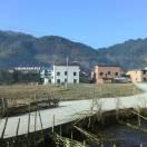Zengfanya