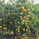 开心过好每一天