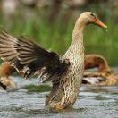 海佳食品科技股份有限公司