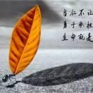 弃士王子