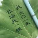 小啊哥