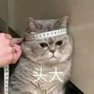 官方提示12138