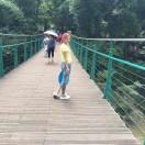 洪(｡･ω･｡)ﾉ♡福天下