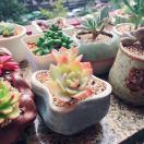 vivi❁҉҉҉҉҉҉҉҉