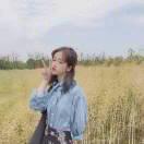 快乐汪姐