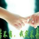 花开四季。
