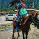 好好过日子🦹¹ᶟ₁₄陈年老姜🦋꧔ꦿ᭄