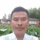 曾宪桃