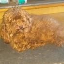 🐍快乐！开♥*^O^*