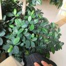 羊绒制品源头工厂