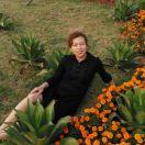 春霞一邢春霞官亭广场舞队