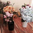 范县农丰种业、越来越好。