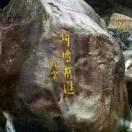 努力奋斗