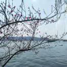 水清人更清