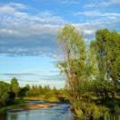 郑尧尧：郑融億