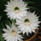 成就更好的自己